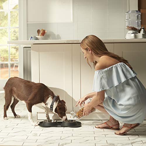 Foto 6 | Estación De Alimentación Para Mascotas Franklin Pet Supply, Cuenco Doble - Venta Internacional.