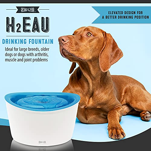 Foto 4 pulgar | Dispensador De Agua Zeus Fresh & Clear Para Perro Y Gato 6l - Venta Internacional.