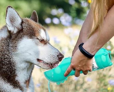 Foto 2 | Botella De Agua Portátil Para Mascotas, Vaso Para Beber De 300 Ml Para Perros - Venta Internacional.
