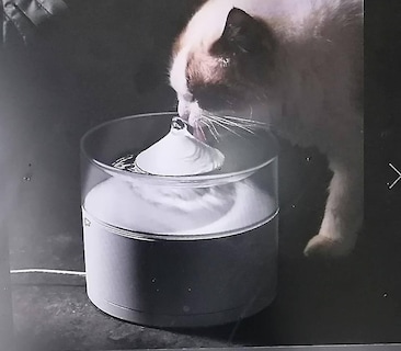 Foto 4 | Bebedero Para Mascotas Dispensador De Agua Inteligente Huoguo 1.3 - Venta Internacional.