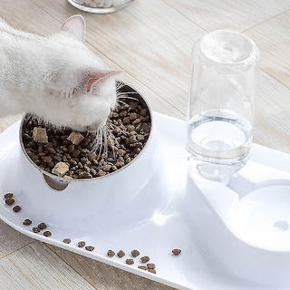 Foto 2 | Comedero Automático Drinking Fountains Para Mascotas, Perros Y Gatos - Venta Internacional.