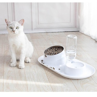 Foto 3 | Comedero Automático Drinking Fountains Para Mascotas, Perros Y Gatos - Venta Internacional.