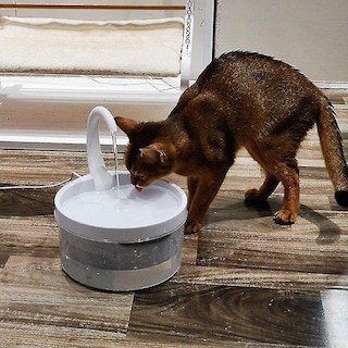 Foto 4 | Fuente De Agua Para Mascotas Huoguo, Con Forma De Cuello De Cisne, Carga Usb De 2 Litros - Venta Internacional.