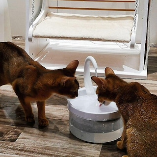 Foto 5 | Fuente De Agua Para Mascotas Huoguo, Con Forma De Cuello De Cisne, Carga Usb De 2 Litros - Venta Internacional.
