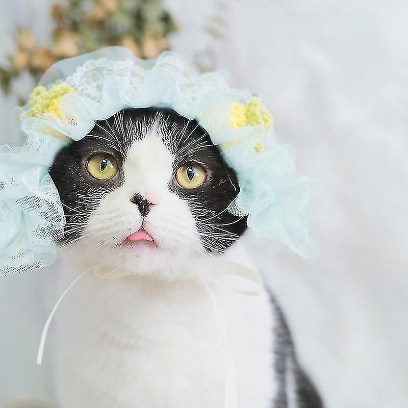 Bañeras Para Pájaros Con Forma De Jaula Para Pájaros, 2 Unidades, Con Bonito Sombrero Para Gatos Y T - Venta Inter