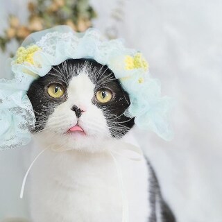 Foto 1 | Bañeras Para Pájaros Con Forma De Jaula Para Pájaros, 2 Unidades, Con Bonito Sombrero Para Gatos Y T - Venta Inter