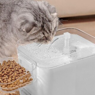 Foto 3 | Fuente De Agua Automática Para Gatos Y Perros, Cuenco Inteligente Para Beber Para Mascotas - Venta Internacional.