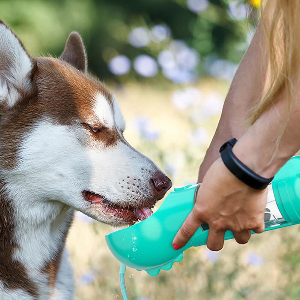 Foto 4 pulgar | Botella De Agua Multifuncional Para Perros Holapet 300 Ml Portátil - Venta Internacional.