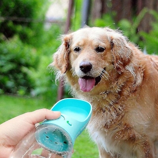 Foto 2 | Bebedero Portátil Para Botellas De Agua Para Perros Huoguo Blue - Venta Internacional.
