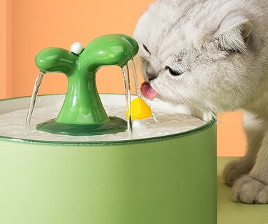 Foto 3 | Dispensador De Agua De Cerámica Para Beber Automático Para Mascotas - Venta Internacional.