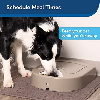 Foto 2 | Dispensador Automático De Comida Para Perros Petsafe 5 Meal Storage 1.2 L - Venta Internacional.