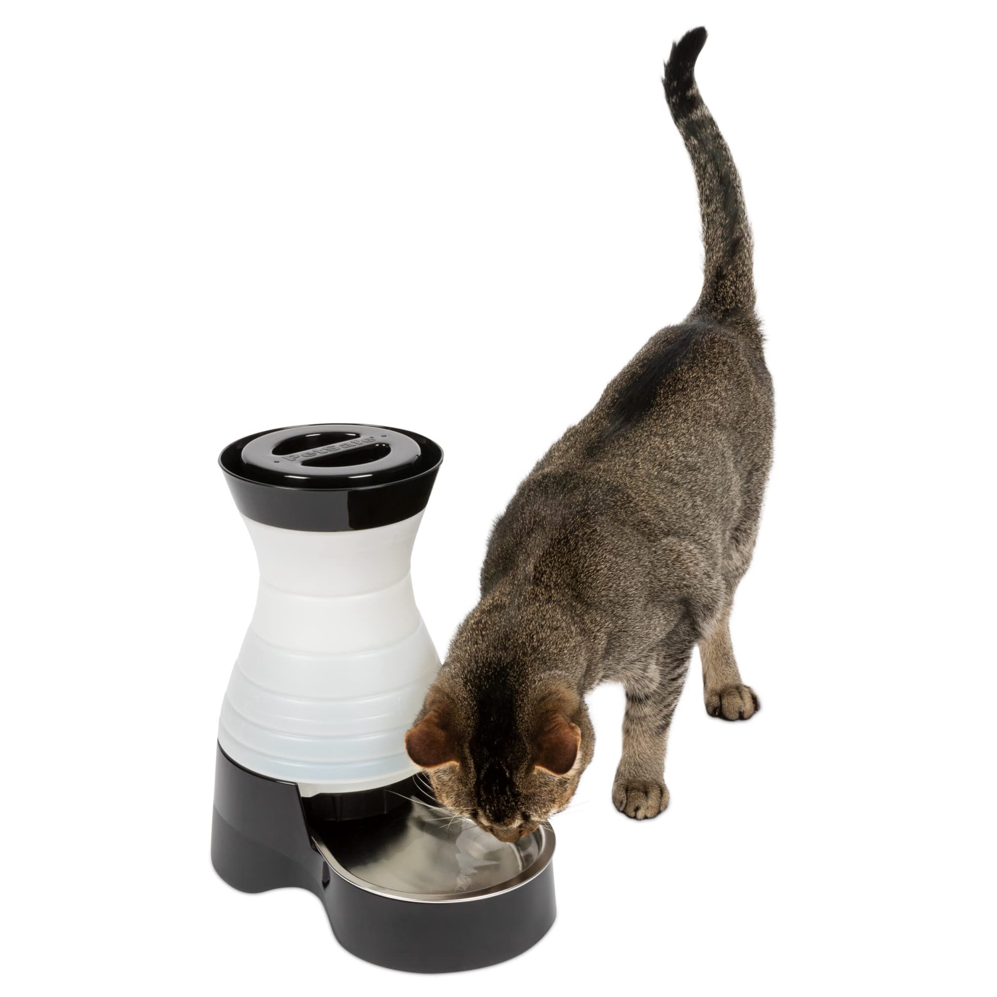 Estación De Agua Petsafe Healthy Pet Small Con Capacidad De 1,9 Litros - Venta Internacional.