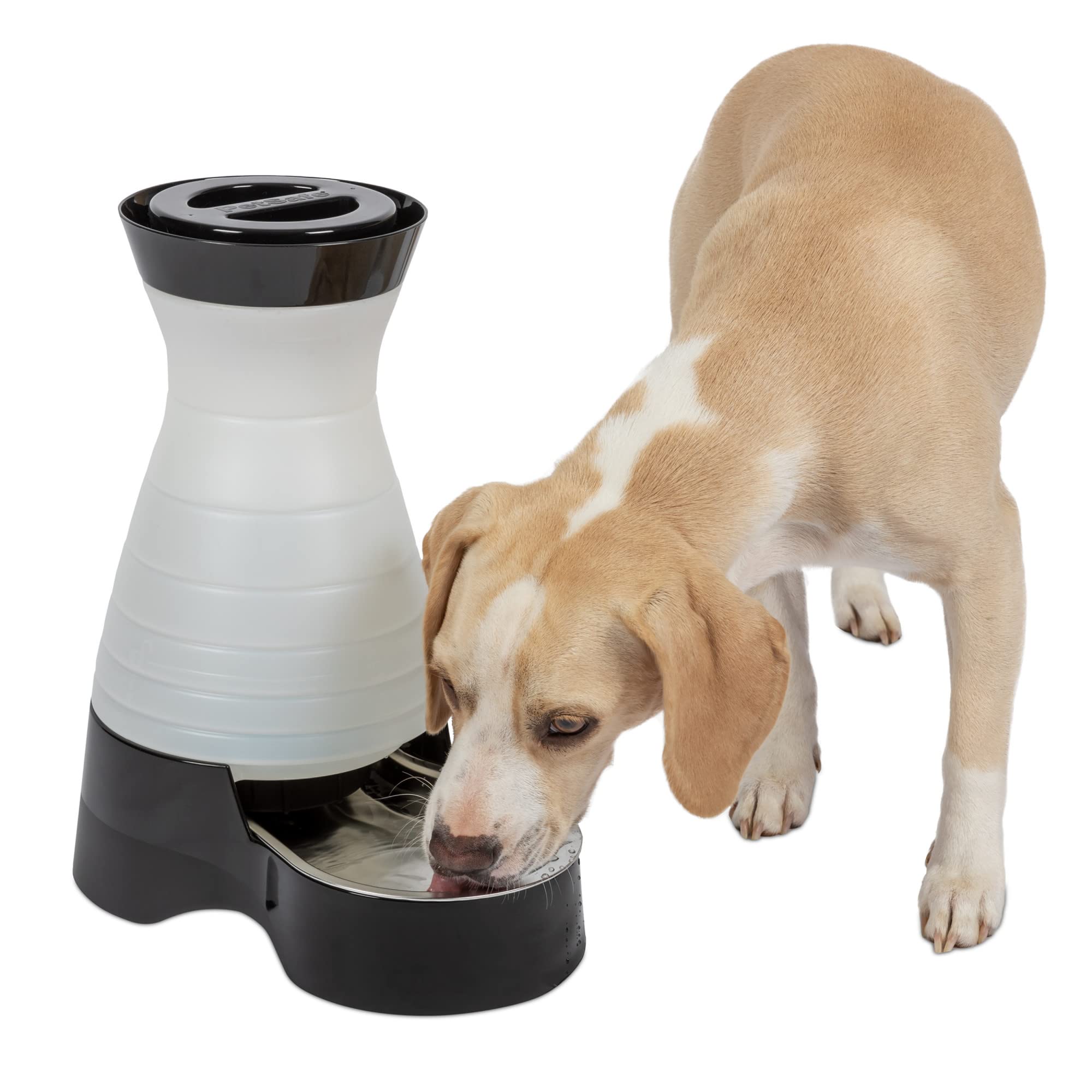 Estación De Agua Petsafe Healthy Pet, Mediana, Capacidad De 3,8 Litros - Venta Internacional.