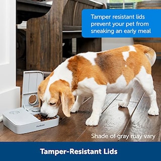 Foto 4 | Comedero Automático Para Mascotas Petsafe Analog 2 Meal Para Perros Y Gatos - Venta Internacional.