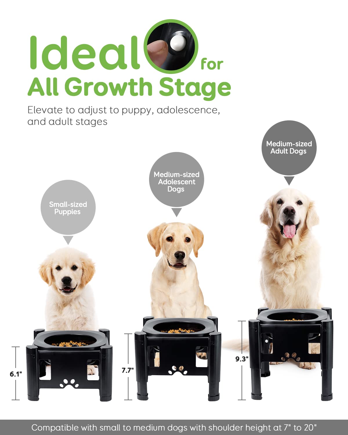Foto 2 | Cuencos Para Perros Slow Feeder Pawque Ajustables, Elevados A 3 Alturas - Venta Internacional.