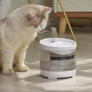 Foto 2 | Fuente De Agua Automática Para Gatos Sanlin Beans De 1,6 L Con 1 Filtro - Venta Internacional.