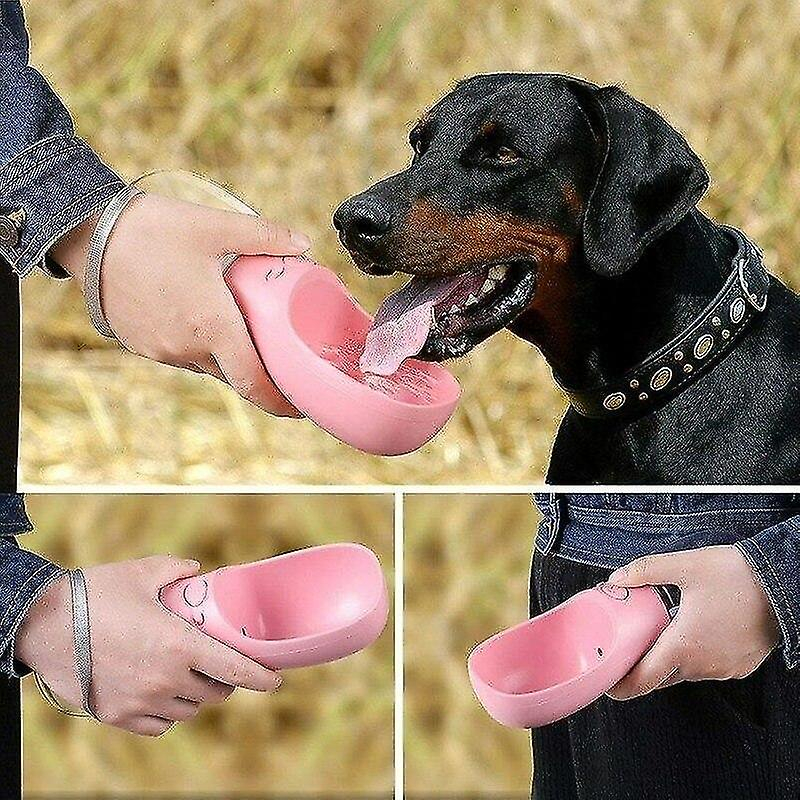 Foto 4 pulgar | Botella De Agua Ligera Para Mascotas Huoguo De Drinking Fountains, 550 Ml - Venta Internacional.