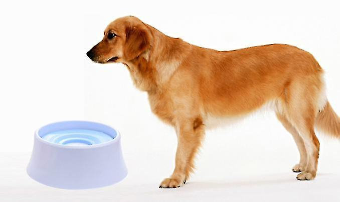 Foto 4 pulgar | Alimentador Lento Flotante Water Bowl Huoguo Para Mascotas, Gatos Y Perros, 1200 Ml - Venta Internacional.