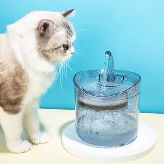 Foto 2 | Fuente De Agua Para Mascotas Sanlin Beans Transparente De 1,6 L Con Filtro - Venta Internacional.