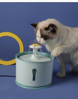 Foto 2 | Fuente De Agua Potable Para Mascotas Y Gatos, 2,4 L, Huoguo Green - Venta Internacional.