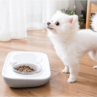 Foto 2 | Bebedero 2 En 1 Para Perros, Gatos Y Mascotas Con Depósito De Agua - Venta Internacional.
