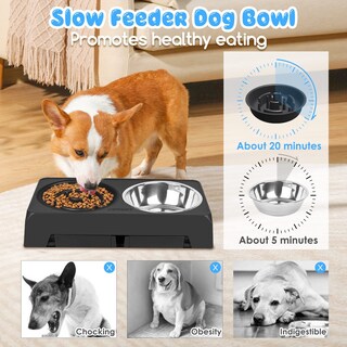 Foto 4 | Cuencos Ajustables Para Perros Con Alimentación Lenta Y Elevado Urpower - Venta Internacional.