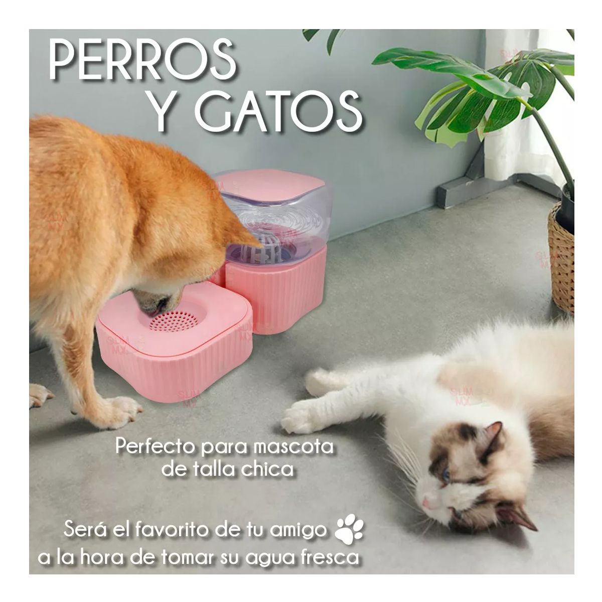 Foto 7 pulgar | Bebedero Dispensador Automático Para Mascotas