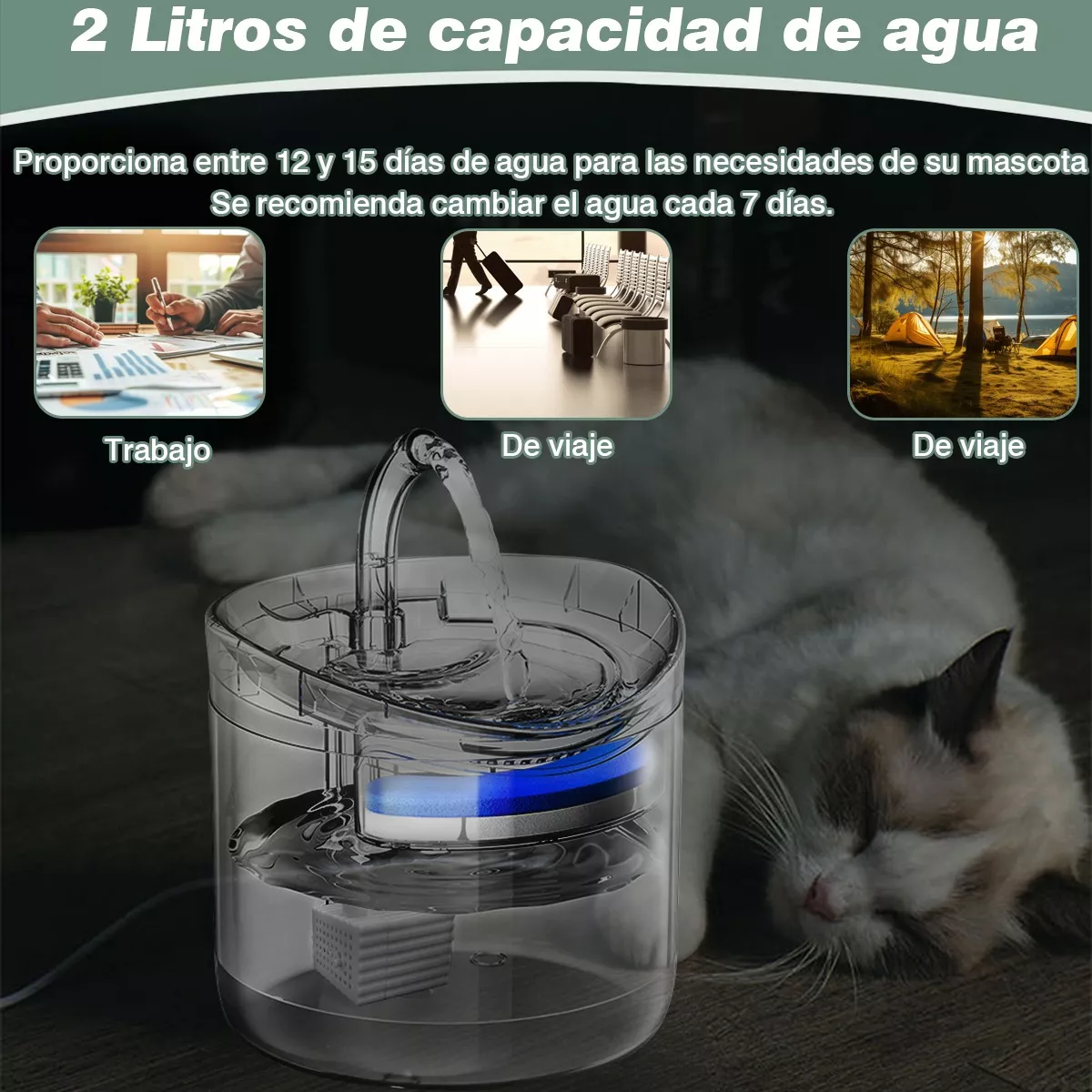 Foto 3 pulgar | Bebedero Auto Fuente Para Perros Y Gatos Con Inducción Eo Safe Imports Esi-18561 Transparente