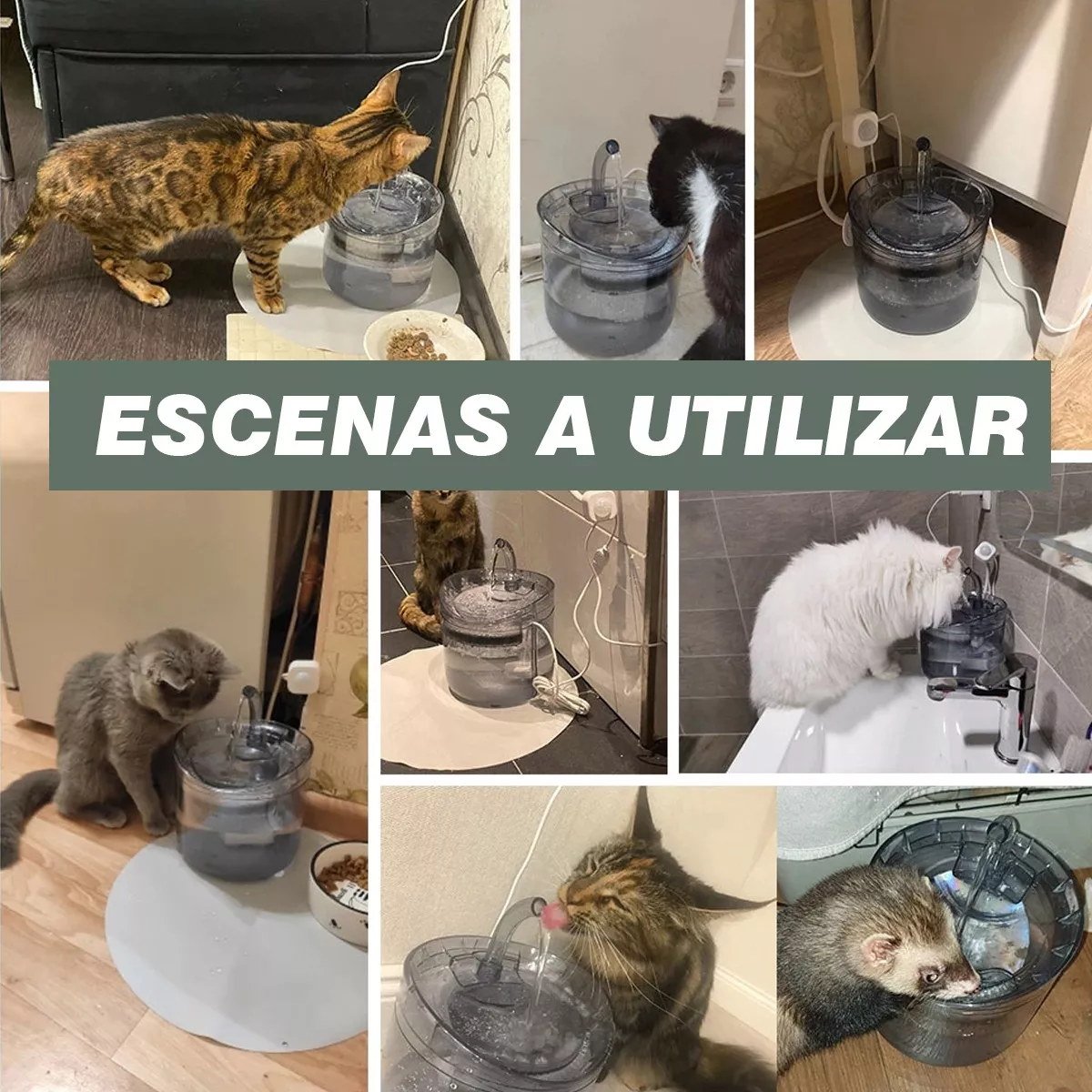 Foto 4 pulgar | Bebedero Auto Fuente Para Perros Y Gatos Con Inducción Eo Safe Imports Esi-18561 Transparente