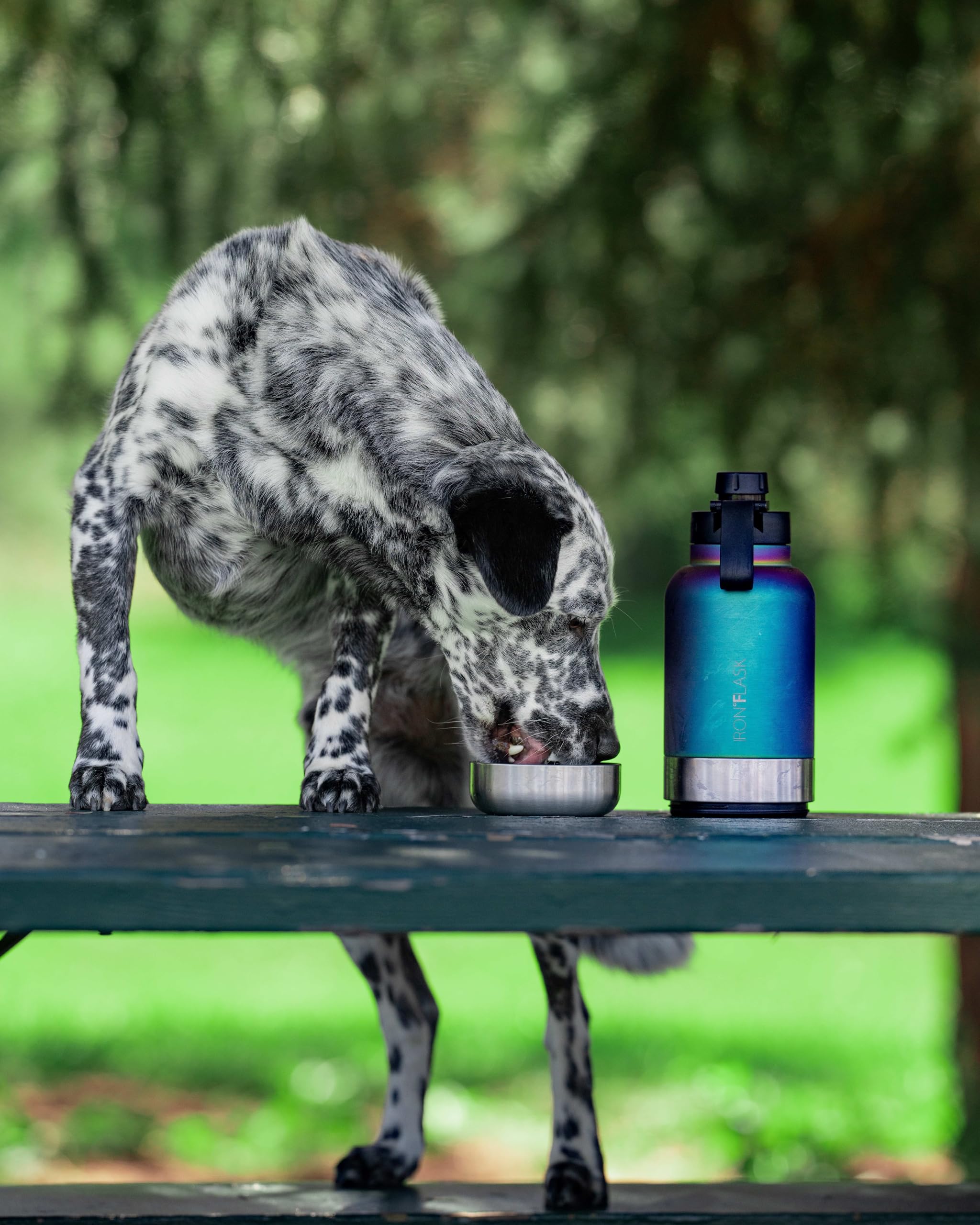 Foto 4 pulgar | Botella De Agua Portátil Para Perros Y Cuenco Iron °flask 960 Ml Midnight - Venta Internacional.