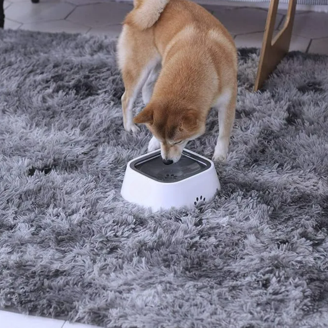 Foto 2 | Tazón De Agua Para Perro Y Gato Bebedero Sin Derrames 1l Color Blanco Xtellar
