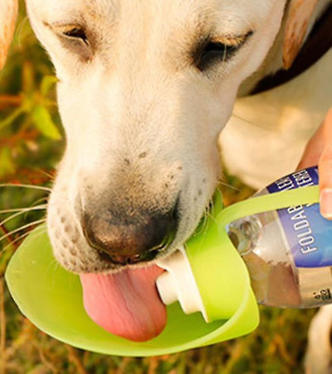 Foto 5 pulgar | Botella De Agua Portátil Para Mascotas, Receptáculo En Forma De Hoja - Venta Internacional.