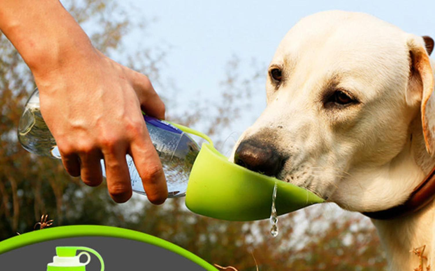 Foto 6 pulgar | Botella De Agua Portátil Para Mascotas, Receptáculo En Forma De Hoja - Venta Internacional.