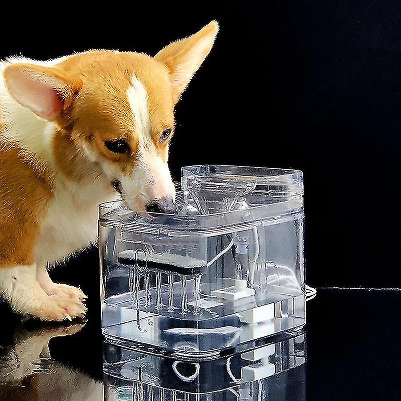 Foto 4 | Fuente De Agua Huoguo 3l Cuadrada Transparente Para Gato Y Perro - Venta Internacional.