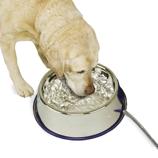 Foto 1 | Recipiente De Agua Caliente K&h Pet Products Thermal-bowl 3l - Venta Internacional.