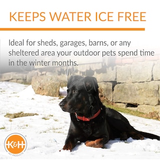 Foto 4 | Recipiente De Agua Caliente K&h Pet Products Thermal-bowl 3l - Venta Internacional.
