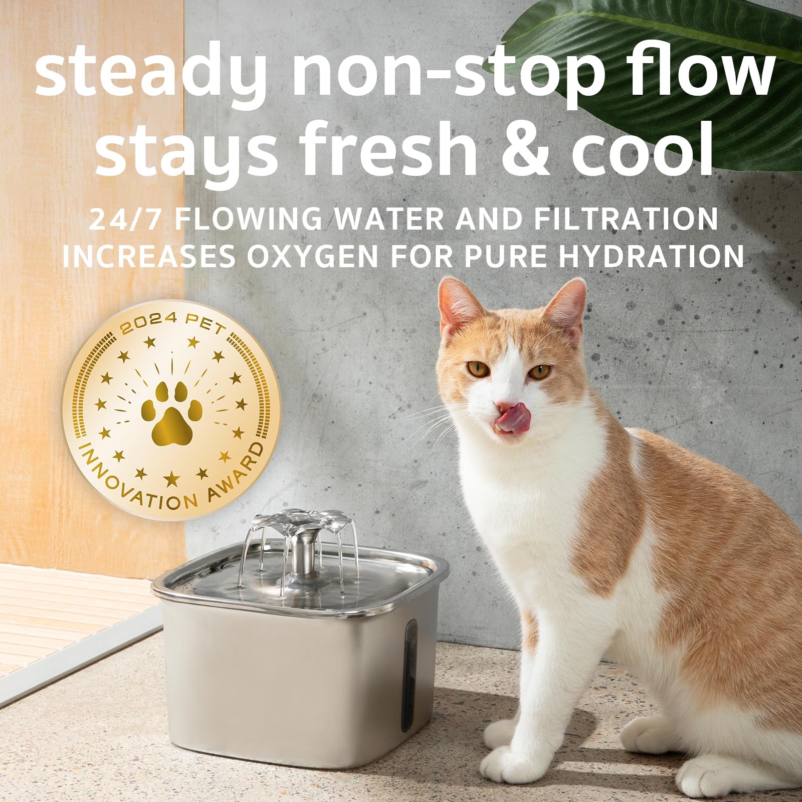 Foto 7 pulgar | Fuente De Agua Cat Veken De Acero Inoxidable De 2 8 L Con Filtros - Venta Internacional.