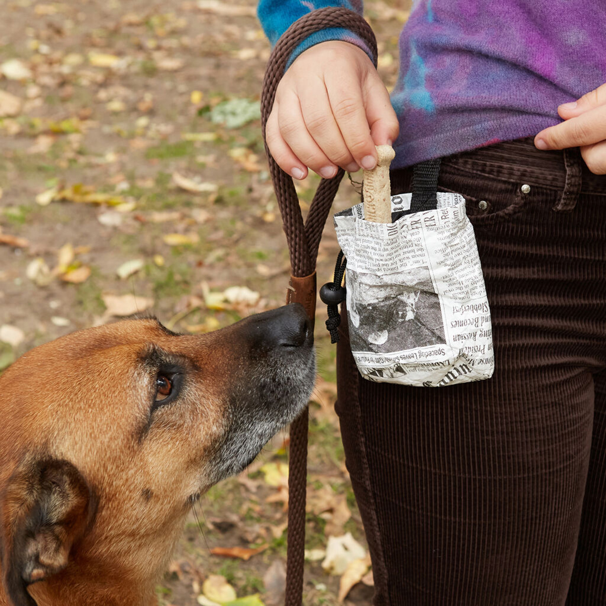 Foto 4 pulgar | Bolsa para Premios Kikkerland para Perro de Noticias Falsas de Kobe