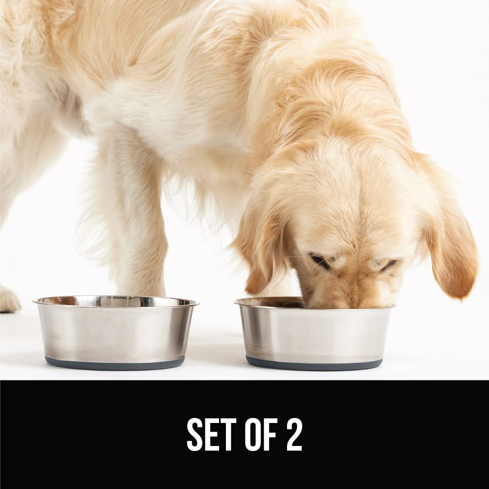 Foto 7 | Juego De 2 Tazones Para Mascotas Gorilla Grip De Acero Inoxidable - Venta Internacional.