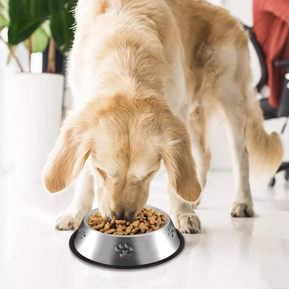 Foto 4 pulgar | Recipientes De Alimento Para Mascota Plateados 2 Piezas Belug