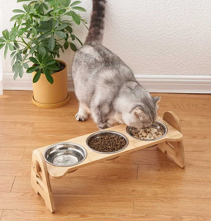 Foto 4 pulgar | Porta Platos Xtellar Elevados Ajustable Para Perros Y Gatos