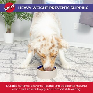 Foto 4 | Pet Bowl Ethical Products Spot, Cerámica De Gres Para Gatos Y - Venta Internacional.