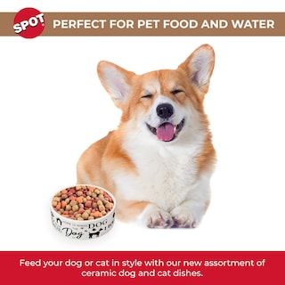 Foto 2 | Plato De Cerámica Para Comida Y Agua Spot I Love Dogs Para Mascotas - Venta Internacional.