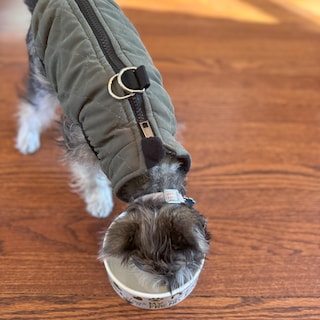 Foto 7 | Plato De Cerámica Para Comida Y Agua Spot I Love Dogs Para Mascotas - Venta Internacional.