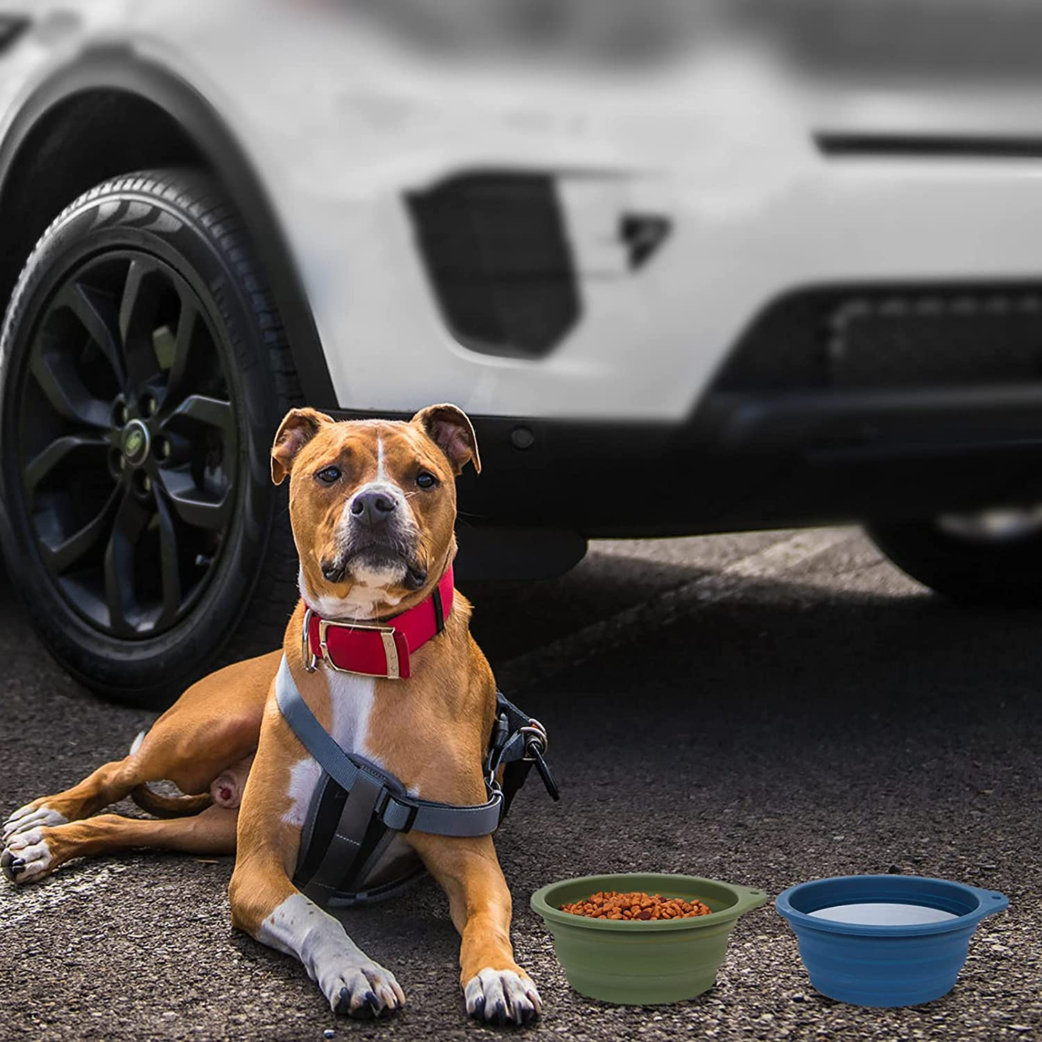 Foto 4 | Cuenco Plegable Para Perros Jieyou, 600 Ml, Paquete De 2 (azul Marino Y Gris Oscuro) - Venta Internacional.
