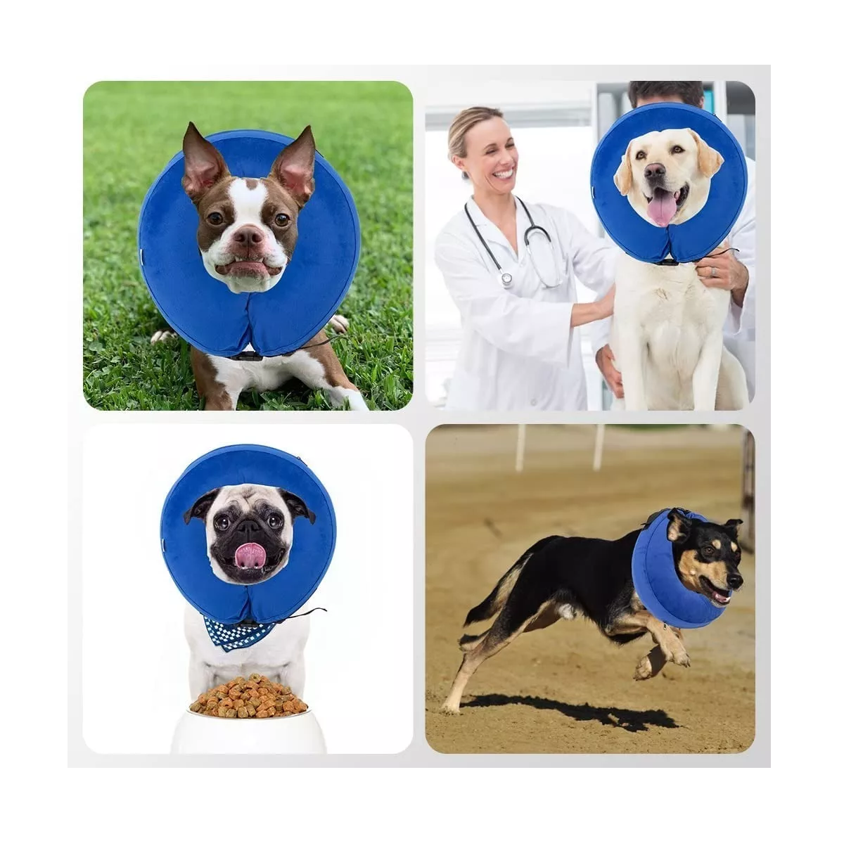 Foto 6 pulgar | Collar Inflable Belug color Azul para Mascota
