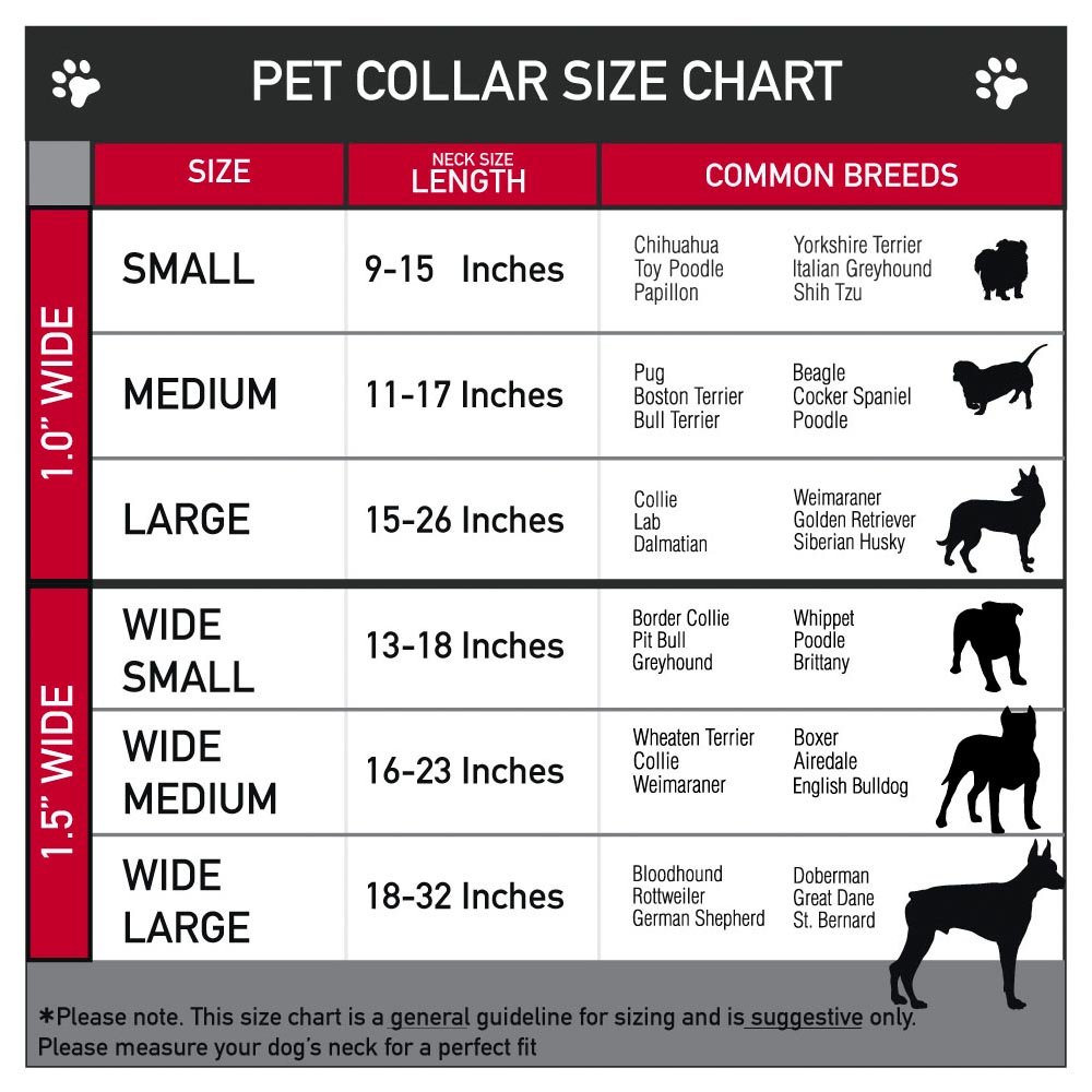 Foto 4 pulgar | Venta Internacional - Collar Para Perro Con Hebilla Y Hebilla De Cinturón De Segur