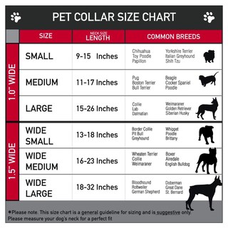 Foto 3 | Venta Internacional - Collar Para Perro Con Hebilla Y Hebilla De Cinturón De Segur