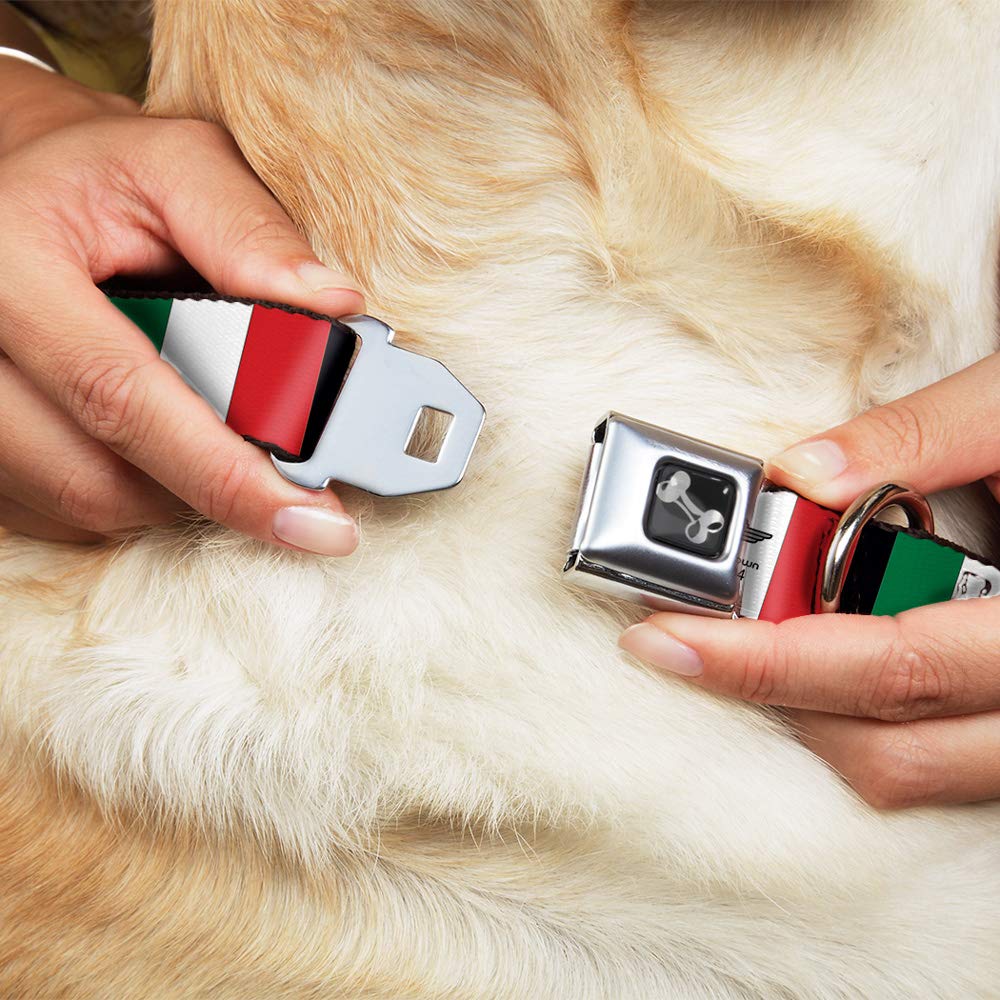 Foto 2 | Venta Internacional - Collar para Perro con Hebilla Buckle-Down Banderas de Italia