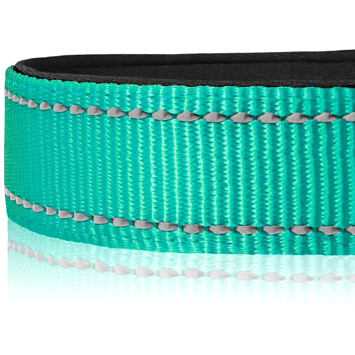 Foto 5 pulgar | Collar Para Perro Joytale De Nailon Acolchado De Neopreno Reflectante, Color Verde Azulado - Venta Internacional.